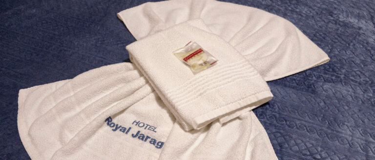 Recepção do Hotel Royal Jaraguá, hotel em Jaraguá do Sul